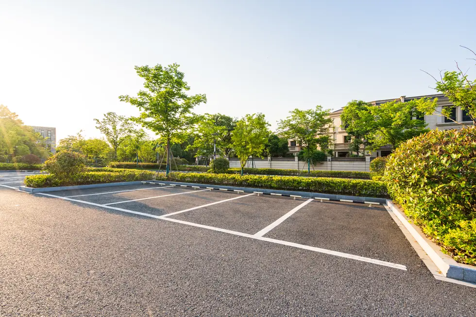 Freshly striped commercial parking lot at a landscaped property