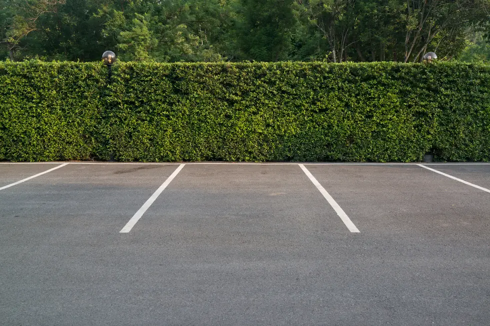 Crisp white stall lines on a freshly striped commercial parking lot