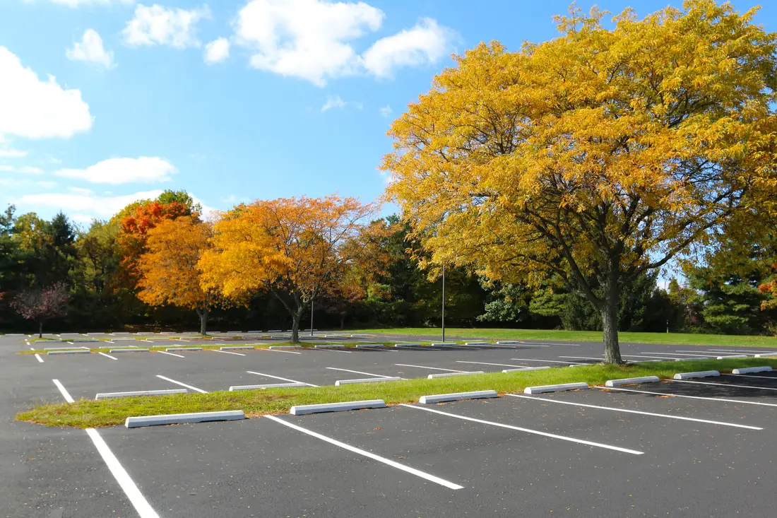 Freshly striped commercial parking lot with wheel stops in Central Texas